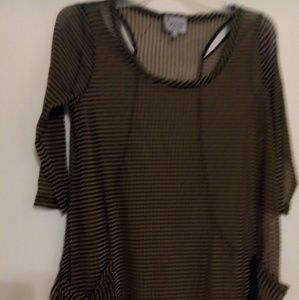 lynn Ritchie Silver Blouse.